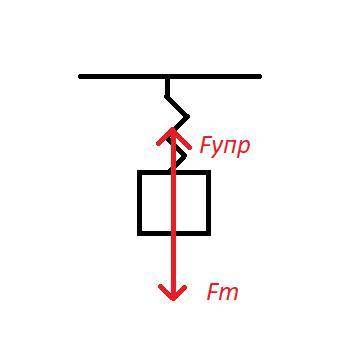 Тело массой 3,5 кг висит на пружине. Жёсткость пружины 140 Н/м. Найти удлинение пружины.