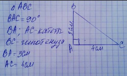 2. Постройте прямоугольный треугольник с катетами 3 см и 4 см.​