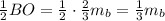 \frac{1}{2} BO=\frac{1}{2}\cdot \frac{2}{3} m_{b}=\frac{1}{3} m_{b}