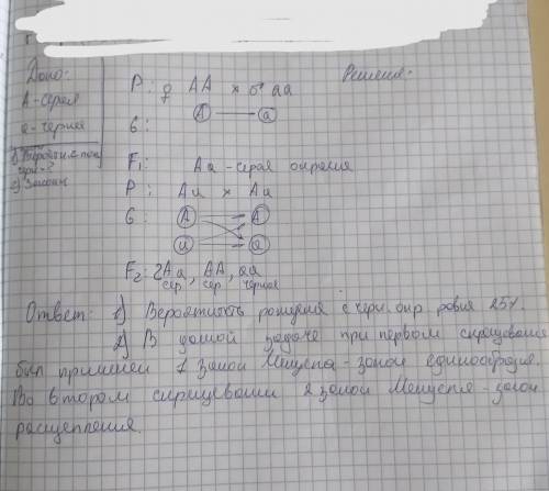 Скрестили дрозофил с серой и чёрной окраской. В потомстве все особи имели серое тело. Определите вер