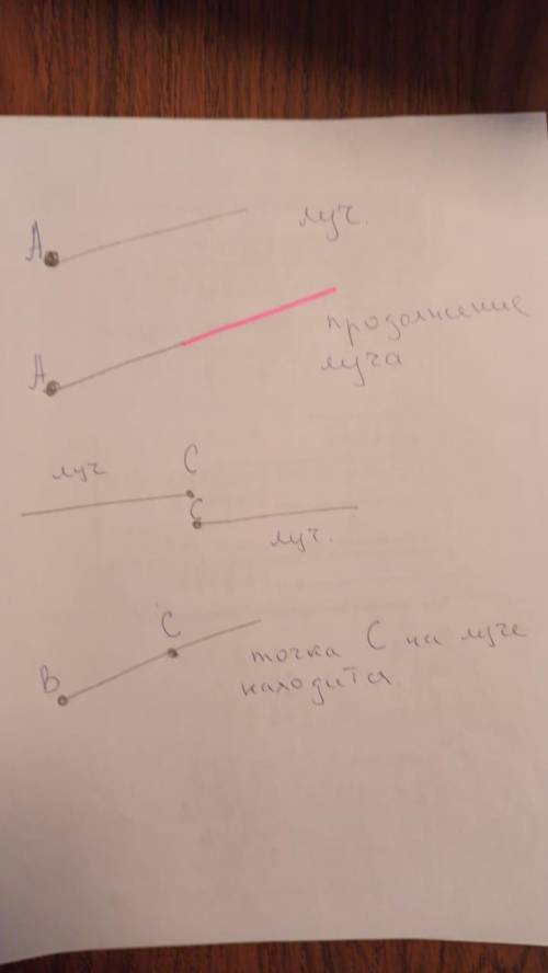 Отметьте на луче h точку M,А на продолжение луча h- точку C.​