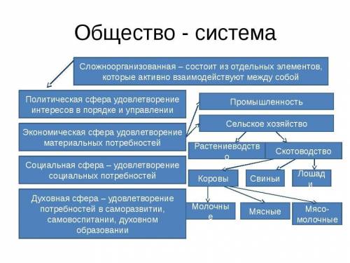 Изобразите схематически классическую систему общества