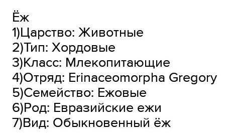 Составьте цепочку еж/енот. род семейство отряд класс тип царство ​