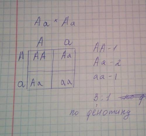 какова вероятность появления гетерозиготного потомства при скрещивании гетерозиготных серых крыс? Оп