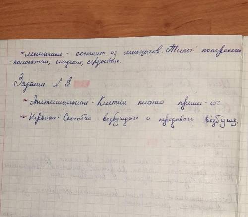 Ход работы 1. Рассмотрите микропрепараты тканей: эпителиальной, соедини-тельной, мышечной, нервной.