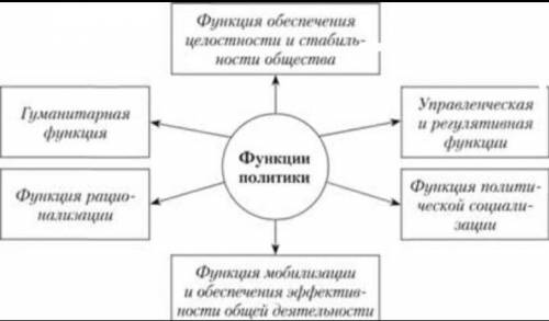 Функции политики 9 класс ​