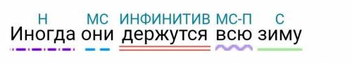 Разбор предложения «иногда они держатся всю зиму»