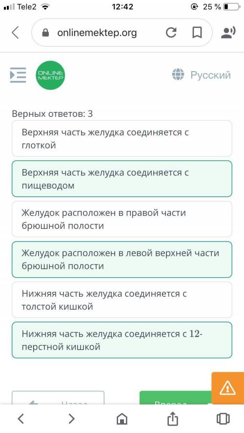 Строение пищеварительной системы дождевого червя, коровы и человека Выбери верные утверждения относи