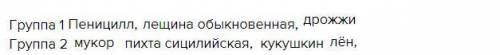 Пеницилл, мукор, лещина обыкновенная, пихта сицилийская, кукушкин лён, дрожжи заполните таблицу запи