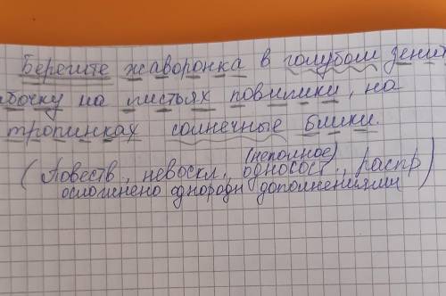 Выпишите из текста все причастия/причастные обороты с определяемым словом. Берегите землю. БерегитеЖ