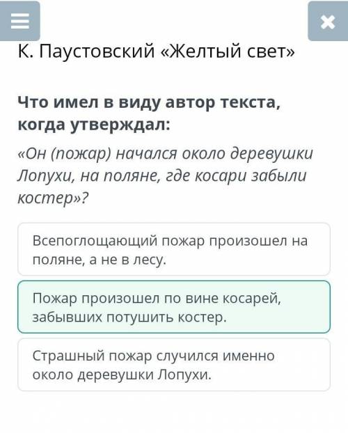 «Он (пожар) начался около деревушки Лопухи, на поляне, где косари забыли костер»? Всепоглощающий пож