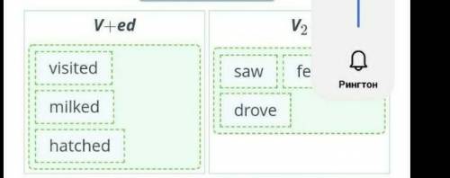 Read the text and put the underlined verbs into two categories. Pay attention to the verb formation