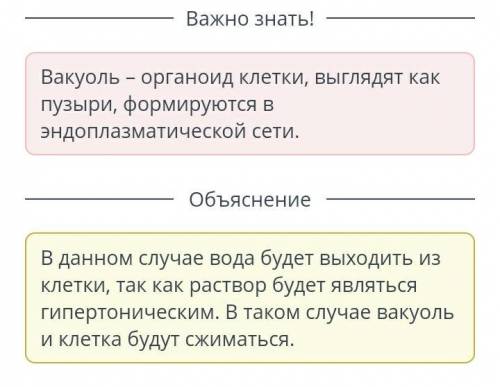 Растительная клетка была помещена в раствор с более низким водным потенциалом чем другие клетки.​