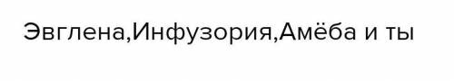 У каких одноклеточных встречаются все типы органоидов движения