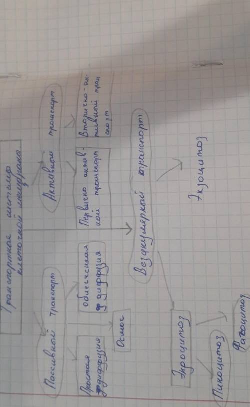 Перед вами схема, показывающая транспорт веществ через мембрану Прока Приведите примеры активного и