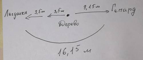 Лягушка может прыгнуть на 3,5 м, гепард на 9,15 м. Лягушка и гепард прыгнули от одного дерева (от од