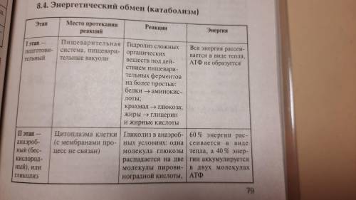 Мне нужно сдать характеристики биосинтеза белка фотосинтеза и энергетического обмена Где происходит,