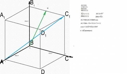 Дан куб ABCDA1B1C1D1 . Точка M — середина ребра B1C1 . Найдите угол между прямыми AC1 и BM