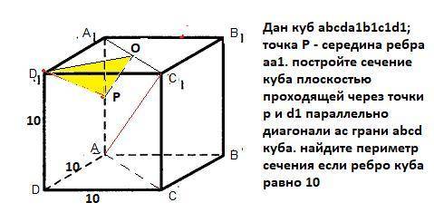 дан куб abcda1b1c1d1; точка P - середина ребра aa1. постройте сечение куба плоскостью проходящей чер