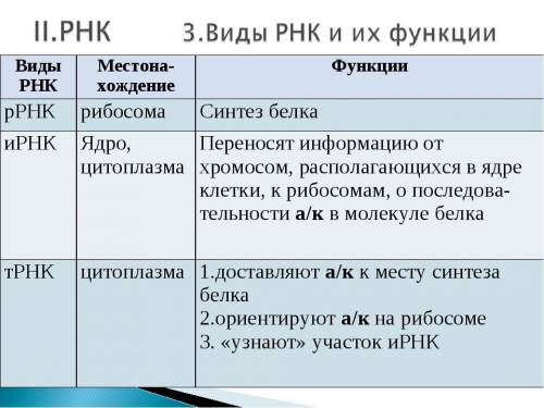 РНК що виконують різні функції назіваються