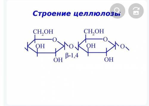 крахмал и сахар является основными запасными веществами Для обеспечения энергией растения кроме крах