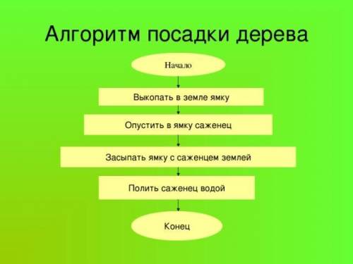 Алгоритм, в котором команды выполняются в порядке их записи, то есть последовательно друг за другом,