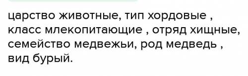 7. Найдите схему, правильно отражающую систематическое положение бурого медведя, родмедведьКлассотря