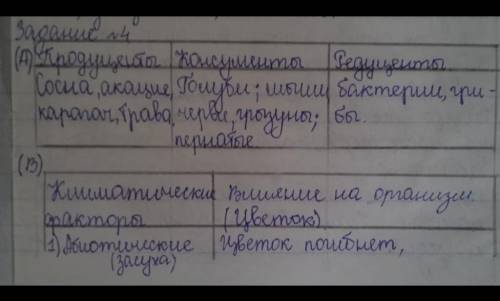 4. Школьная территории представляет собой экосистему, на которой присутствуют автотрофы и гетеротроф