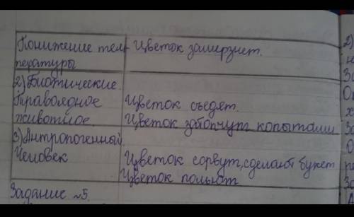 4. Школьная территории представляет собой экосистему, на которой присутствуют автотрофы и гетеротроф