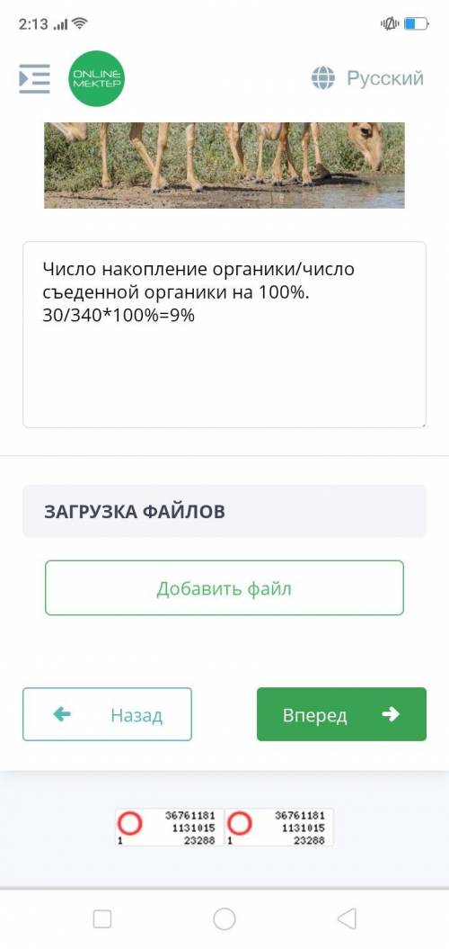 Рассчитайте эффективность переноса энергии по условию задачи: Популяция сайгаков, потребив 340 кг т