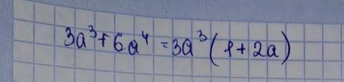 Упрастит выражение 3а^3+6а^4=