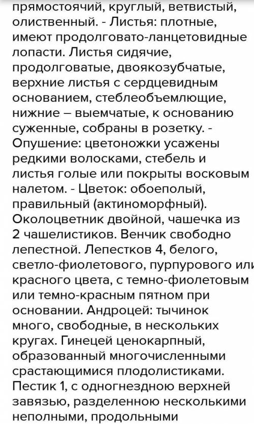 Лабораторная работа. Название: Морфологические особенности растений различных видов Задание: 1) Ра