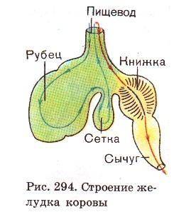 я должно это решать или я получу 00000​