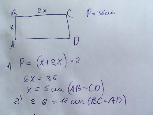 Знайдіть сторону прямокутникв, периметер якщо доривние 36 см а одна сторона у двічі більша за другу
