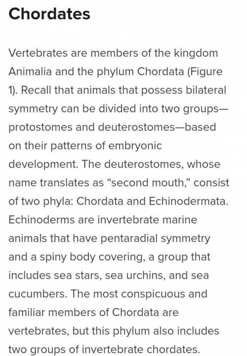 Are body structures of chordates related to their lifestyle? можете ответить мне очень нужно