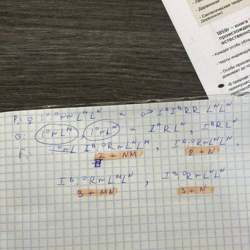 Условие на фото I, Rh+, M ответ % I, Rh+, N ответ % I, Rh+, MN ответ % I, Rh-, M ответ % I, Rh-, N о