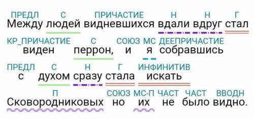 Выполнить синтаксический и пунктуационный разбор и расставить знаки препинания: Между людей видневши