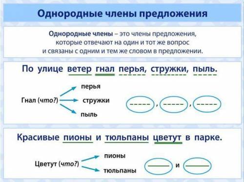 Что такое однородные члены предложения?​