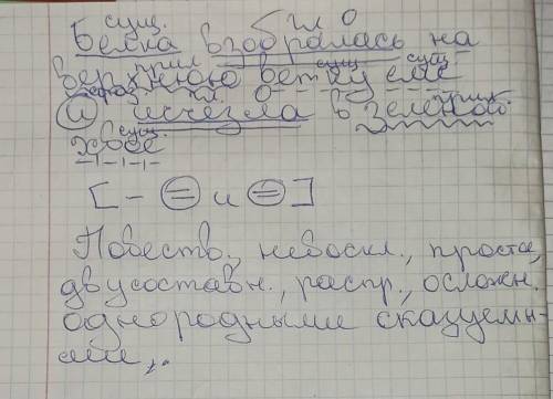 Нужен полный синтаксический разбор предложения (Белка взобралась на верхнюю ветку ели и исчезла в зе