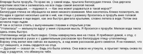 Сумасшедшая птица Бианки вопрос-ответ почему птичка нырнула в прорубь. Почему отец смеётся над мальч