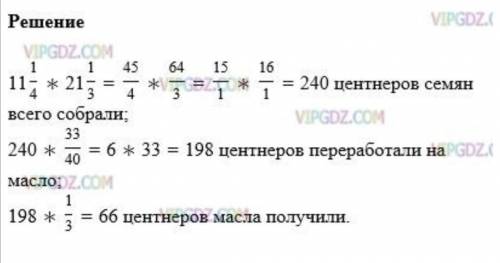 С поля площадью 11 1\4 га собрали урожай семян подсолнечника по 21 1\3 ц с каждого гектара. На масло