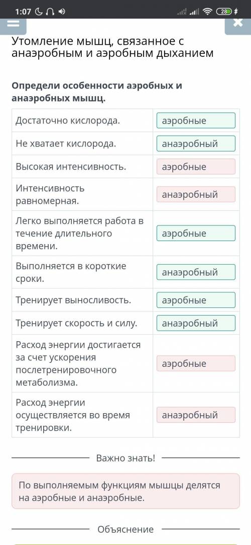 Определи особенности аэробных и анаэробных мышц. (онлайн мектеп)​