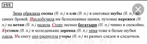 Ают • Как различаются именительный и Винительный падежи именсуществительных во множественном числе?