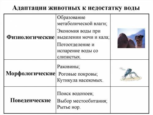 очень нужен ответ . Нужно составить краткое сообщение на тему : при животных к условиям высокой вл