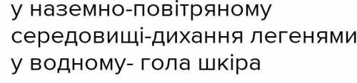 Яки є пристосування амфибий до водного та наземного середовища життя