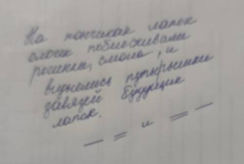 Расставить знаки препинания, дать характеристику предложений, составить схему. - На кончиках лапок е