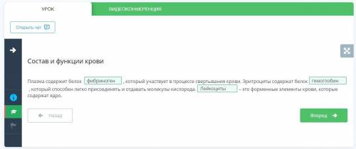 Состав и функции крови Плазма содержит белоккоторый участвует в процессе свертывания крови. Эритроци