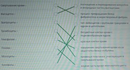 Сопоставь термины и их определения. Свертывание крови -опоглощение и переваривание микробови инородн