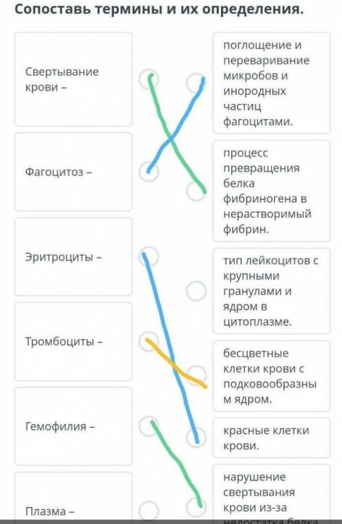 Сопоставь термины и их определения кровянистыемоноциты- пластины учавствуиши в свертыва- емости кров