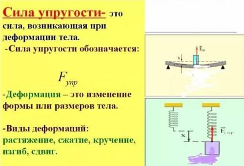 На что действует сила трения и на что действует сила упругости кратко​